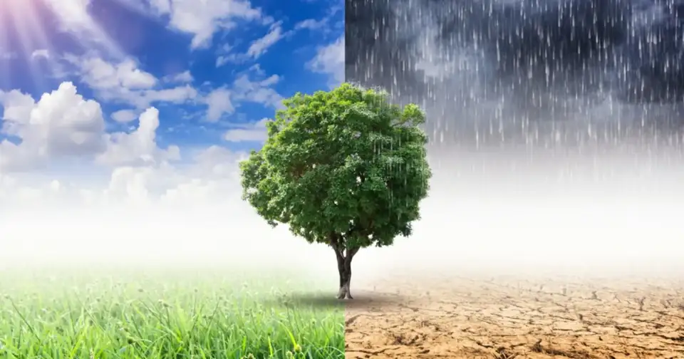 Climat : l’ONU estime désormais que le seuil de 1,5 °C sera dépassé